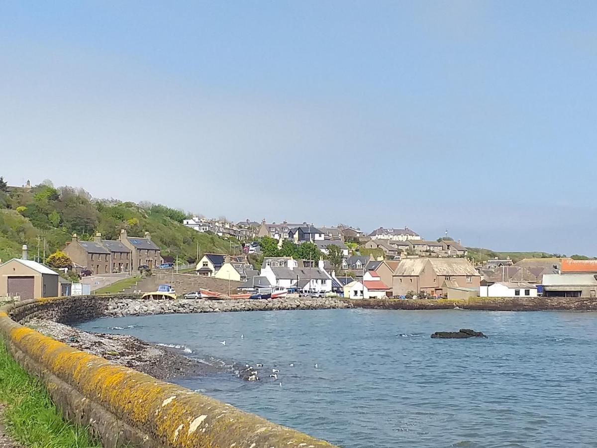 Coastal Cottage Inverbervie Bagian luar foto